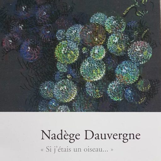 Nadege Dauvergne_CABBINET D'AMATEUR